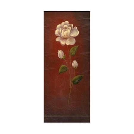 Pablo Esteban 'White Rose On Red Background' Canvas Art,8x19